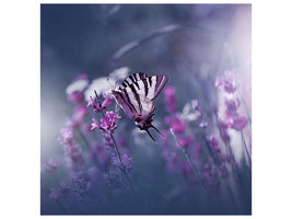 canvas-print-lavender-queen-x