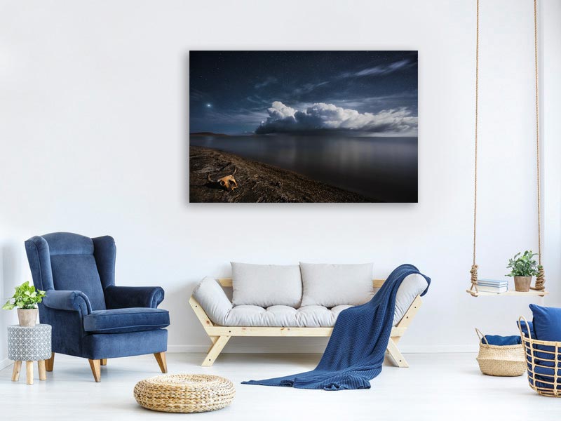 canvas-print-life-after-death-x
