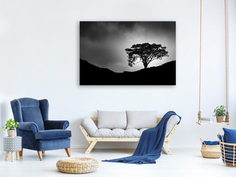 canvas-print-lone-tree