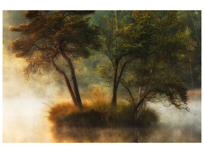 canvas-print-lonely-island