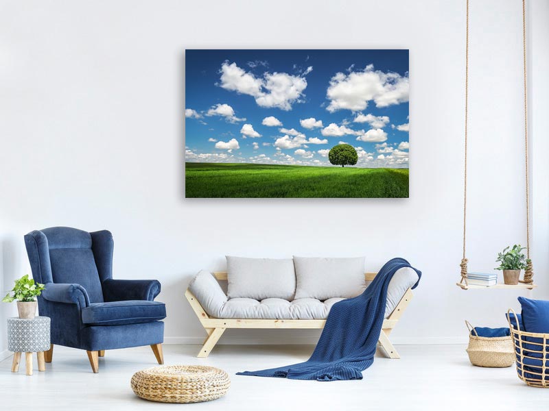 canvas-print-lonely-tree-x