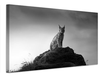 canvas-print-lynx-drama-x