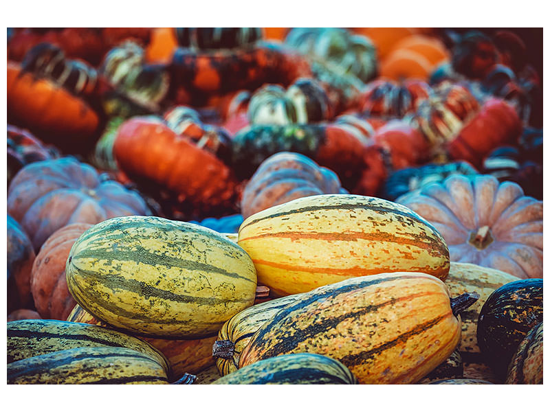 canvas-print-pumpkin-types