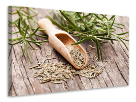 canvas-print-rosemary