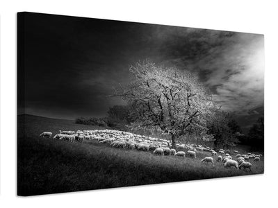 canvas-print-rural-scene-x