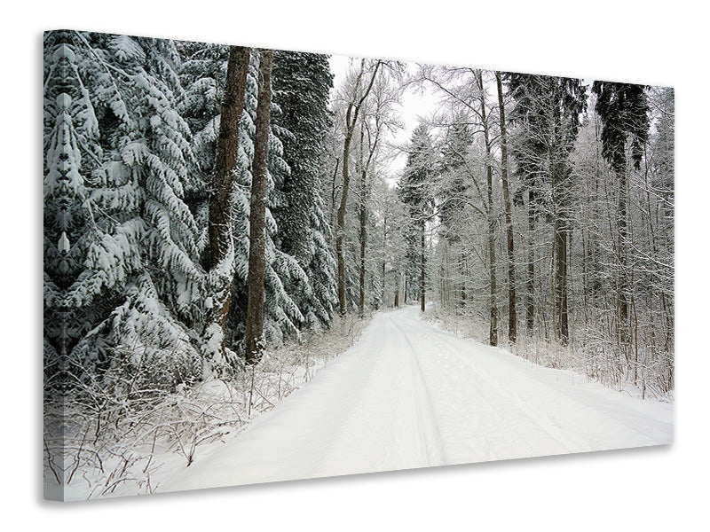 canvas-print-snow-in-the-forest