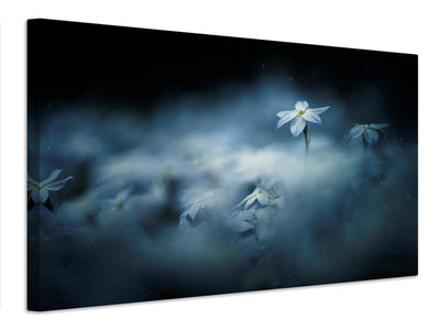 canvas-print-spring-glow-x