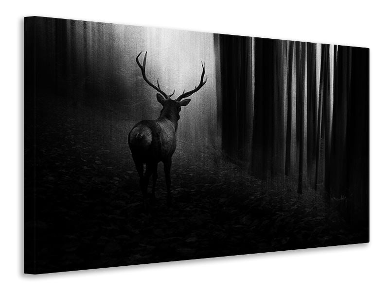 canvas-print-stag