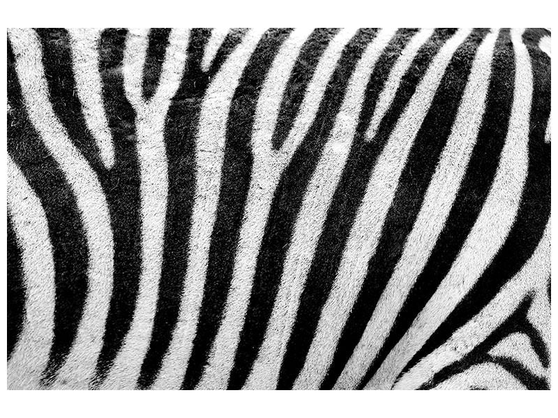 canvas-print-strip-of-the-zebra