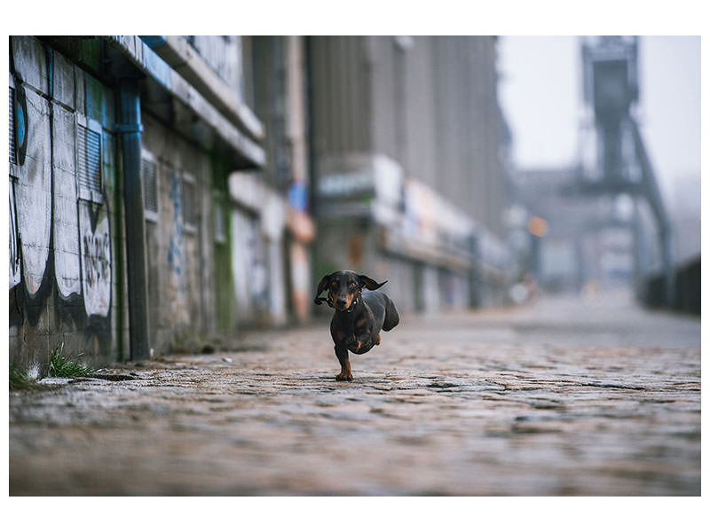canvas-print-the-dark-side-of-hamburg