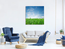 canvas-print-the-grass