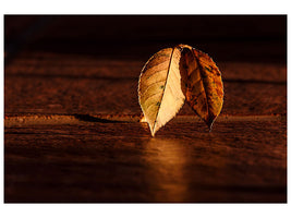 canvas-print-the-leaf