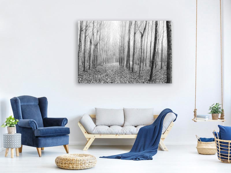 canvas-print-the-shape-of-trees-03-x