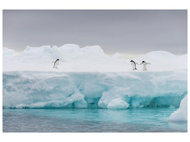canvas-print-the-stage-x