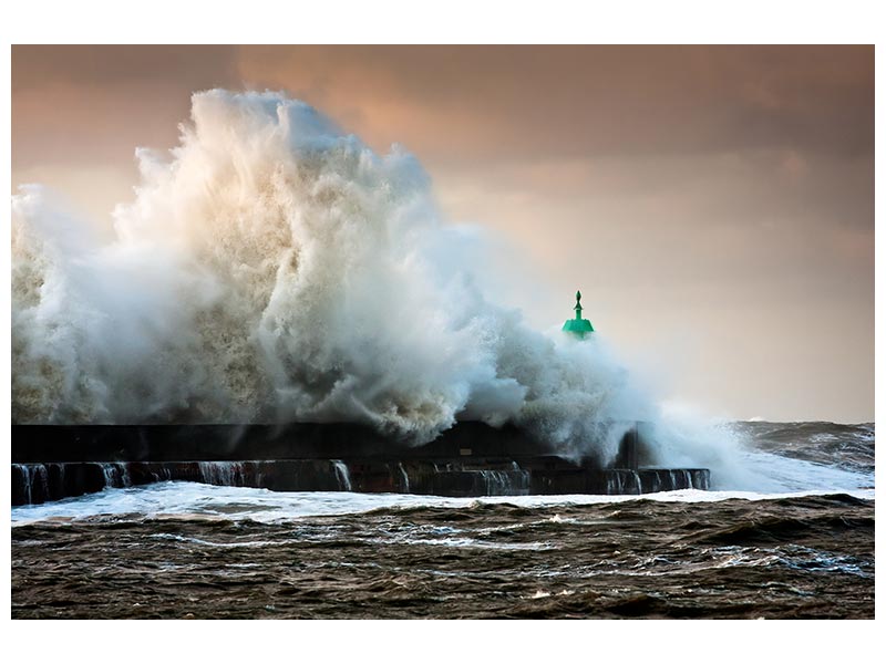 canvas-print-the-wall-x