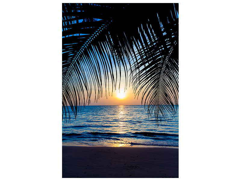 canvas-print-through-the-palm
