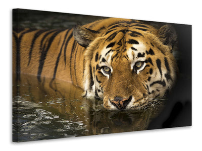 canvas-print-tiger-in-the-water