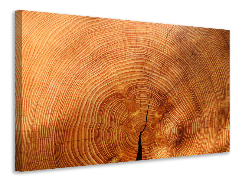 canvas-print-tree-rings