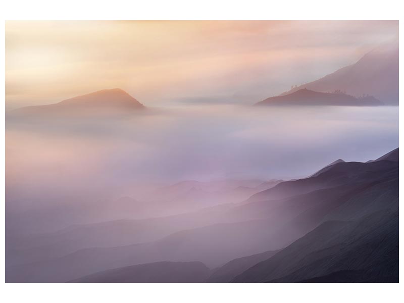 canvas-print-vanilla-x