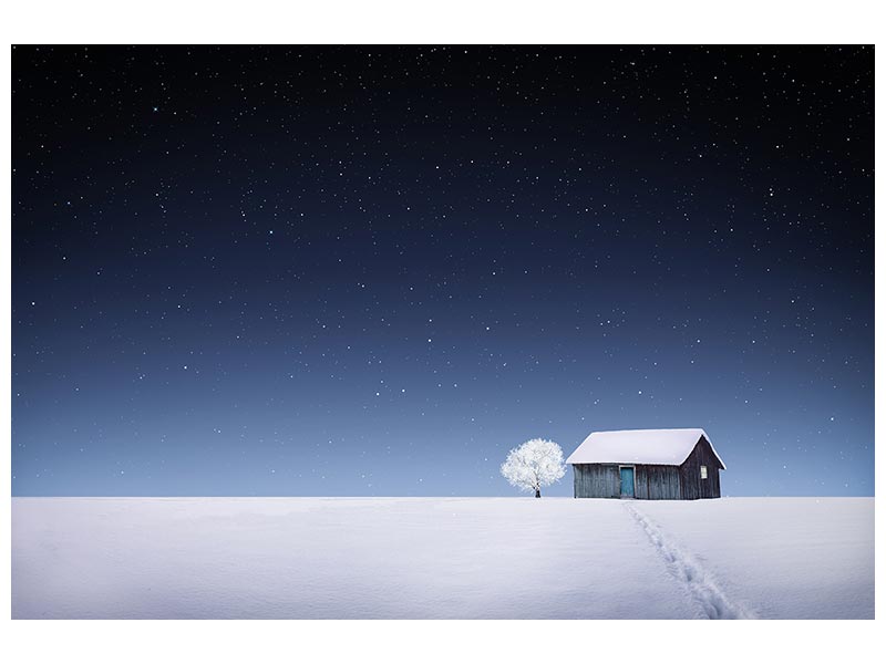 canvas-print-winter-xyv