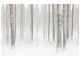 canvas-print-winterforest-in-sweden-x