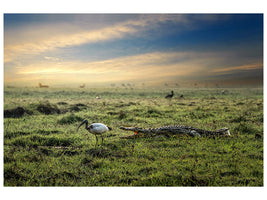 canvas-print-world-without-humans