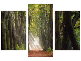 modern-3-piece-canvas-print-a-glorious-day