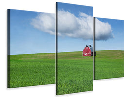 modern-3-piece-canvas-print-alone-iv