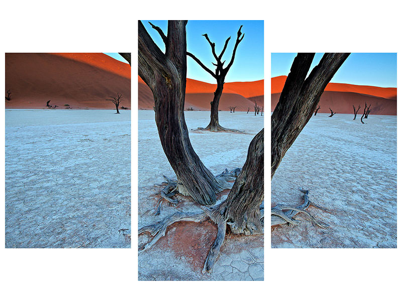 modern-3-piece-canvas-print-ancient-trees-in-the-vlei