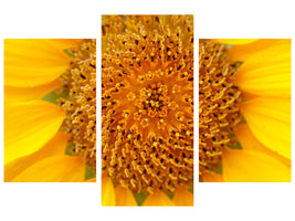 modern-3-piece-canvas-print-beautiful-buds-of-the-sunflower