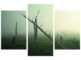 modern-3-piece-canvas-print-beautiful-rot