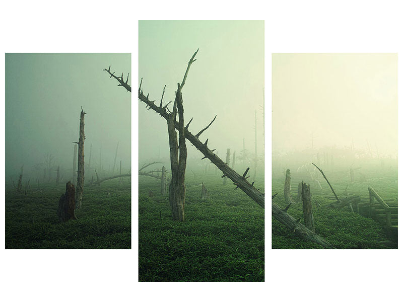 modern-3-piece-canvas-print-beautiful-rot