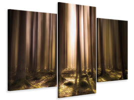 modern-3-piece-canvas-print-breath-of-life