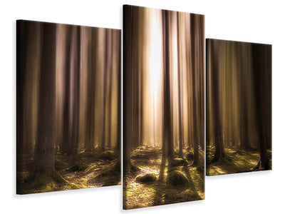 modern-3-piece-canvas-print-breath-of-life