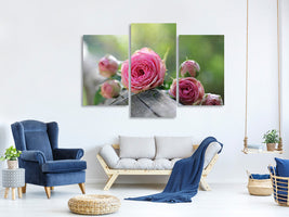 modern-3-piece-canvas-print-bush-roses