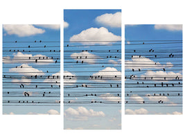 modern-3-piece-canvas-print-cantus-arcticus-concerto-for-birds