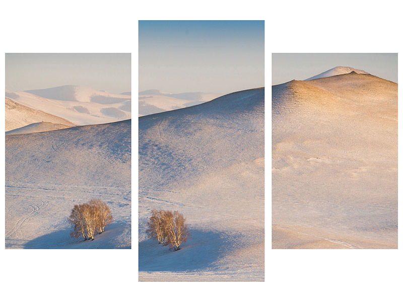 modern-3-piece-canvas-print-cappuccino-land