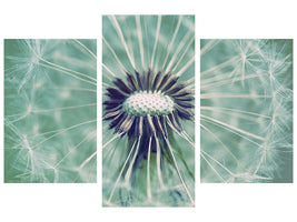 modern-3-piece-canvas-print-close-up-dandelion