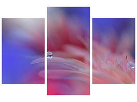 modern-3-piece-canvas-print-colorful-explosion