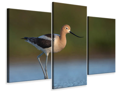 modern-3-piece-canvas-print-complementary-colors