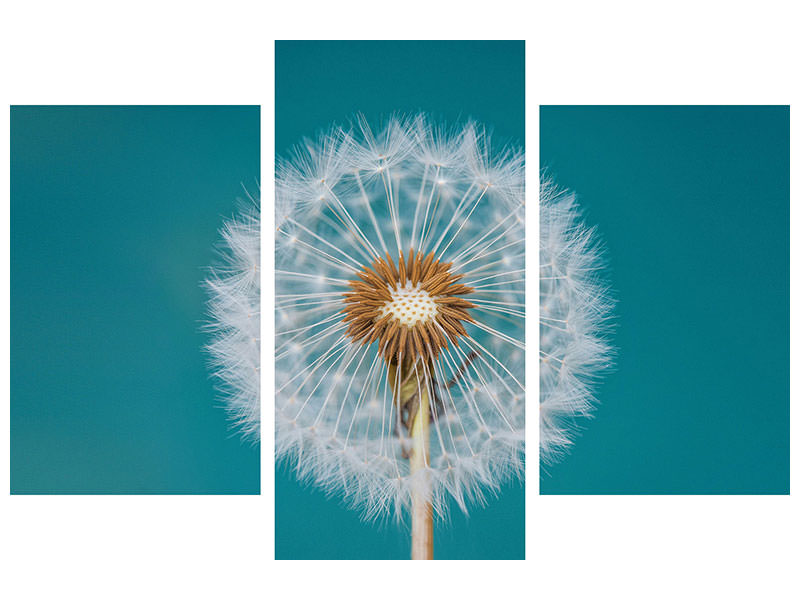 modern-3-piece-canvas-print-dandelion-a