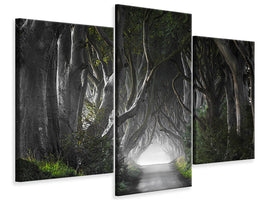 modern-3-piece-canvas-print-dark-hedges
