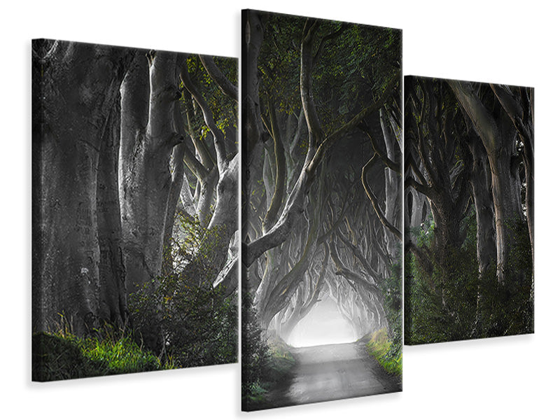 modern-3-piece-canvas-print-dark-hedges
