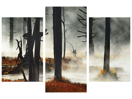 modern-3-piece-canvas-print-deadwood