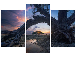 modern-3-piece-canvas-print-dry