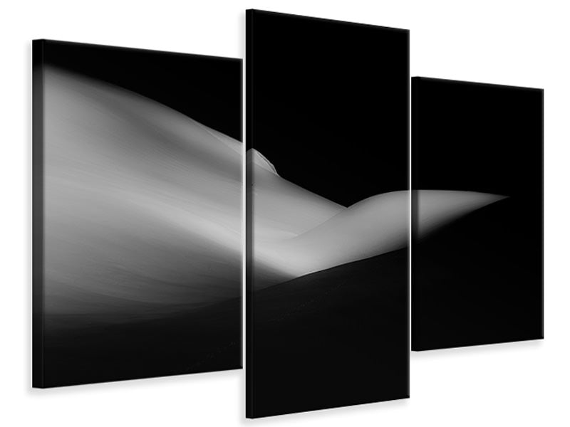 modern-3-piece-canvas-print-elephant-sleeping-a-white-dream