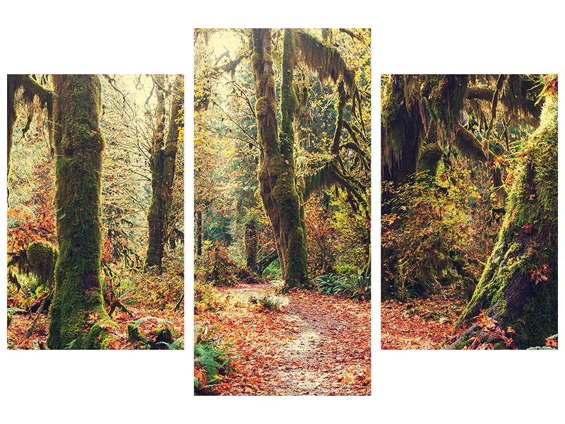 modern-3-piece-canvas-print-fairies-forest