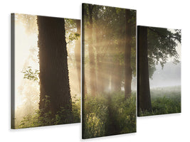 modern-3-piece-canvas-print-first-day-of-summer