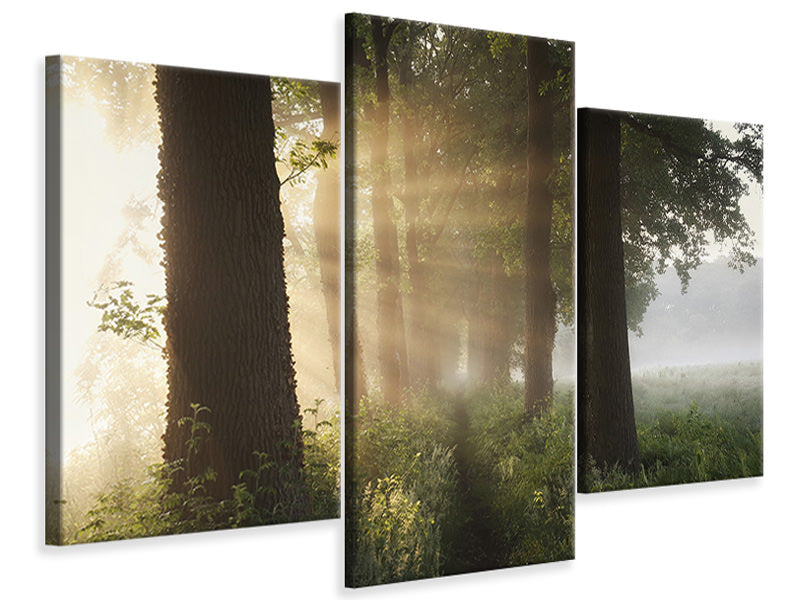 modern-3-piece-canvas-print-first-day-of-summer