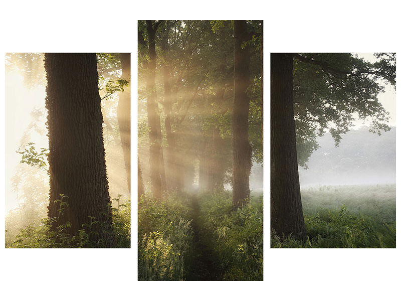 modern-3-piece-canvas-print-first-day-of-summer